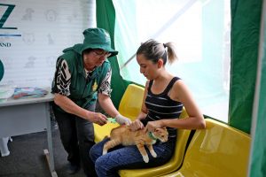 Read more about the article Campanha antirrábica vai imunizar 234 mil animais em Manaus