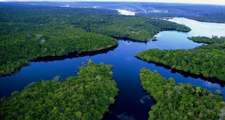 You are currently viewing FAO fecha parceria para defender recursos naturais na Amazônia