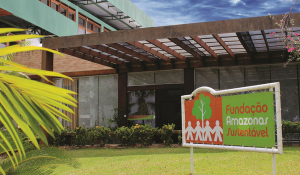 Read more about the article Consequências das queimadas à saúde é tema de seminário em Manaus