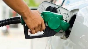 Leia mais sobre o artigo Bolsonaro anuncia redução no preço da gasolina nas refinarias