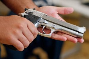 Para ter uma arma em casa, o gasto mínimo é de R$ 3,7 mil 1