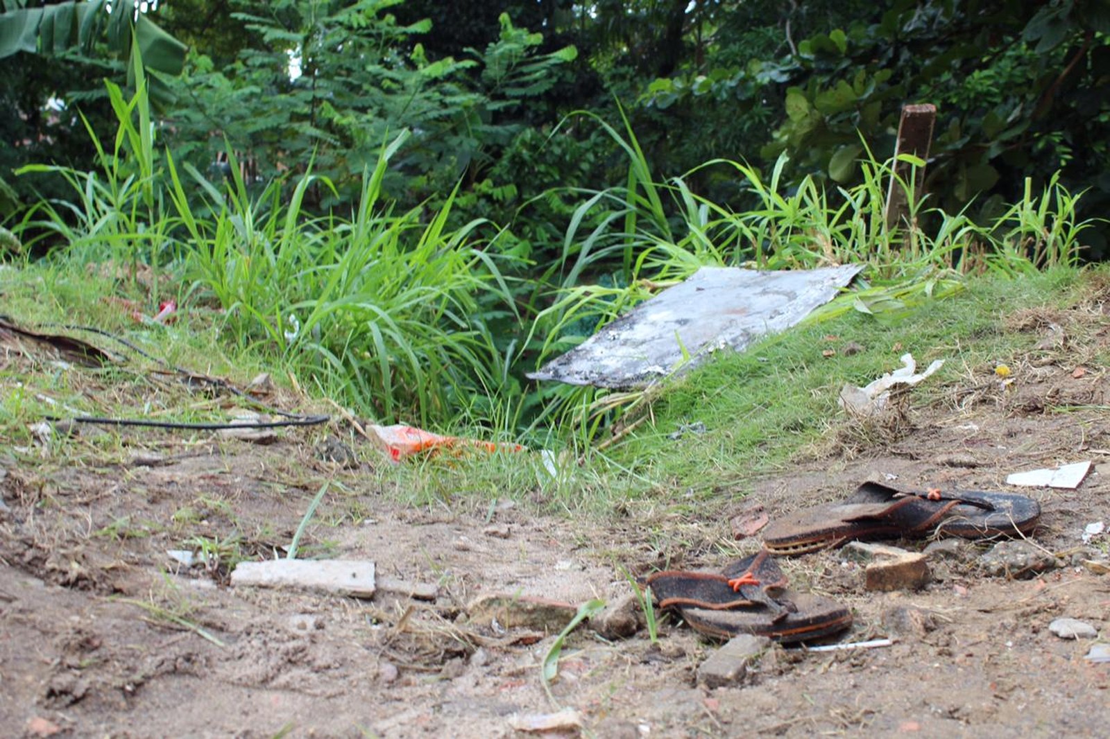 You are currently viewing Corpo de homem morto a tiros é encontrado em área de mata, na Zona Oeste de Manaus
