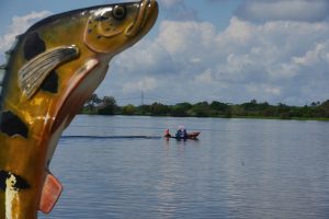 Read more about the article Amazonastur traça estratégias para atrair novos visitantes espanhóis ao estado