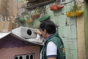 Leia mais sobre o artigo Prefeitura de Manaus reforça ações de combate ao Aedes aegypti
