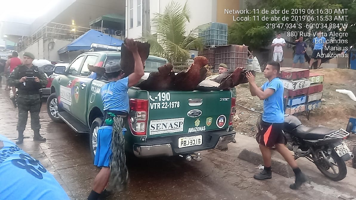 You are currently viewing Polícia Militar apreende 1,7 toneladas de pirarucu irregular em frigorífico de Manaus