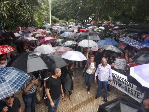 Read more about the article Professores da rede estadual do Amazonas entram em greve nesta segunda (15)