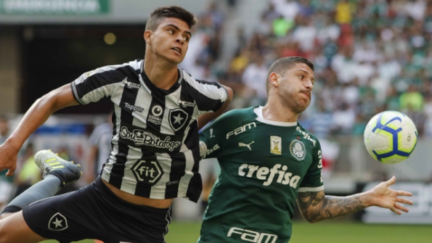 You are currently viewing CBF retira os três pontos da vitória do Palmeiras sobre o Botafogo após polêmica