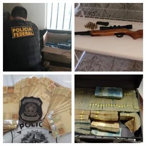 Leia mais sobre o artigo Operação conjunta da PF e MPF desarticulam fraudes e corrupção em fiscalizações ambientais no Amazonas