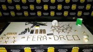 Leia mais sobre o artigo Polícia Civil apreende fuzil, carregadores de fuzil, revólver, munições e drogas em apartamento no bairro Chapada
