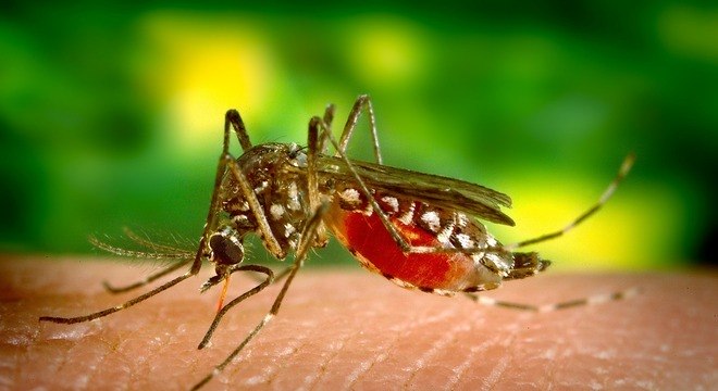 You are currently viewing MG tem 289 mil casos suspeitos de dengue, 11 mortes confirmadas e 41 mil casos confirmados em uma semana