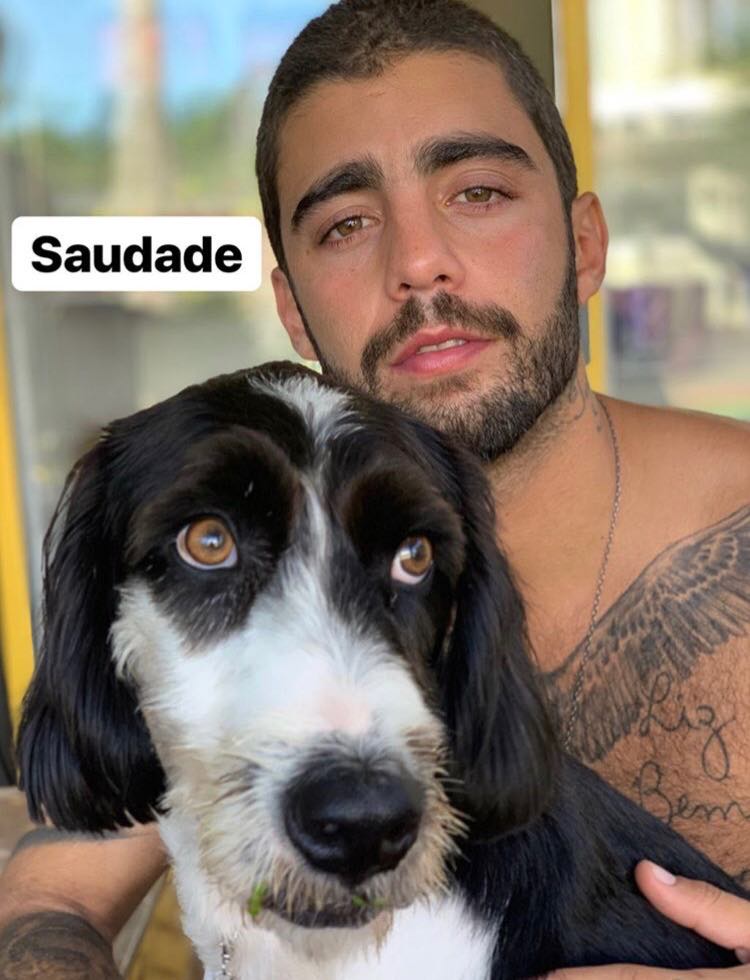 No momento, você está visualizando Anitta compara cão com namorado: “Cara do Pedro”