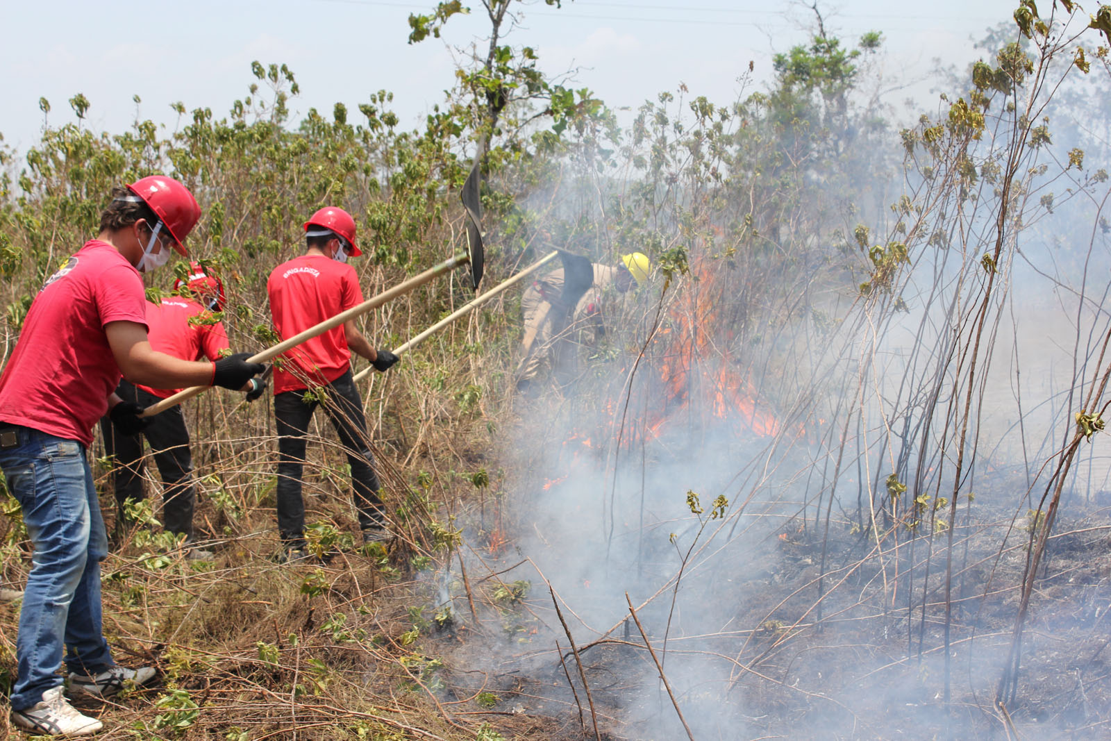 You are currently viewing Amazonas tem redução de 6% no número de focos de calor, no primeiro semestre de 2019