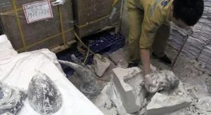 Leia mais sobre o artigo Vietnã apreende 125 kg de chifres de rinoceronte em aeroporto