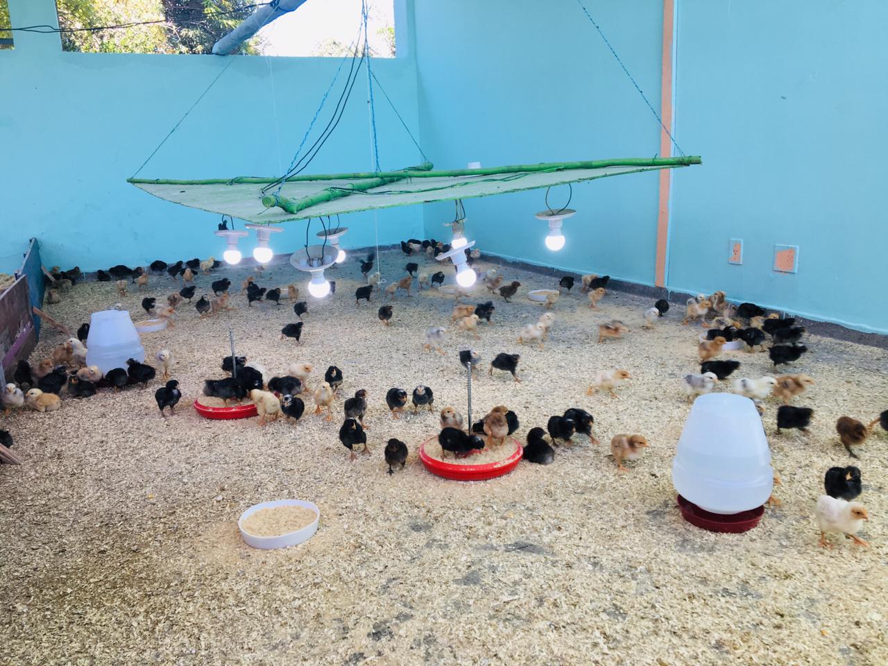 No momento, você está visualizando Seap inaugura granja no CDPM 2