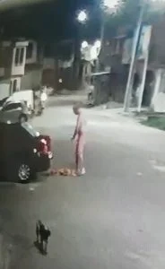 Leia mais sobre o artigo Por causa de xixi, homem espanca cachorro em Belém (PA)