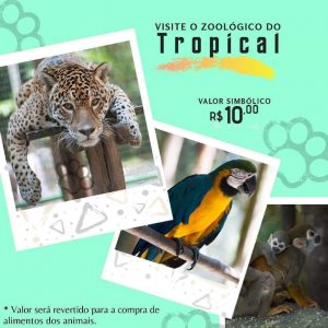 Read more about the article Tropical Hotel anuncia visitação em zoológico para ajudar a alimentar os animais