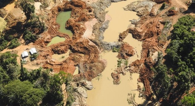 No momento, você está visualizando Desmatamento dispara no Xingu, um dos últimos ‘escudos’ da Amazônia