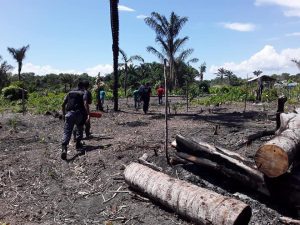 Read more about the article Policiais Militares do 4° GPM – Urucará/2°BPM e Polícia Civil fazem a detenção de  dois homens por crime ambiental no município de Urucará