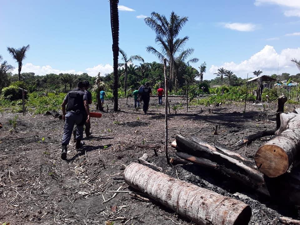You are currently viewing Policiais Militares do 4° GPM – Urucará/2°BPM e Polícia Civil fazem a detenção de  dois homens por crime ambiental no município de Urucará