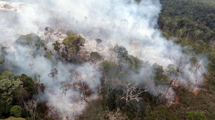 No momento, você está visualizando Fogo proibido por 120 dias no Brasil, decreta governo federal, nesta quinta-feira