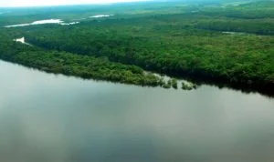 Leia mais sobre o artigo Mourão apresenta plano substituto à operação militar na Amazônia