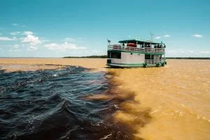 Leia mais sobre o artigo Guias de turismo, canoeiros e empresários do setor pedem socorro no Amazonas