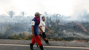 Read more about the article Brasil pede aos EUA apoio financeiro no combate ao desmatamento da Amazônia