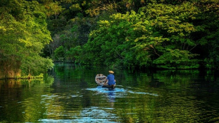 You are currently viewing Falta de transparência e prejuízos à Amazônia em eventual fusão do Ibama e do ICMBio são apontados em audiência pública do MPF