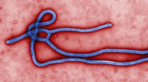 Read more about the article Guiné declara novo surto de ebola