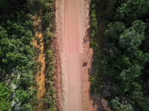Leia mais sobre o artigo Reconstrução da BR-319 custará R$ 220 milhões ao Governo Federal