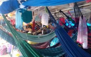 Leia mais sobre o artigo Fiscais interrompem viagem de embarcação lotada com 120 pessoas no interior do AM