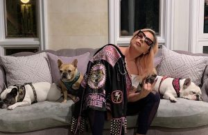 Read more about the article Cachorros de Lady Gaga são roubados durante passeio com ‘dog walker’; rapaz foi baleado durante ação