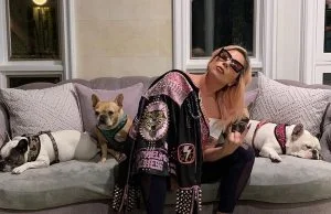 Leia mais sobre o artigo Cachorros de Lady Gaga são roubados durante passeio com ‘dog walker’; rapaz foi baleado durante ação