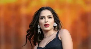 Leia mais sobre o artigo Anitta bate boca com Rick Bonadio em defesa do funk brasileiro