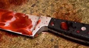 Leia mais sobre o artigo Mulher é presa após matar marido esfaqueado em Manaus