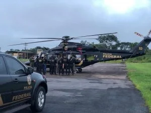 Leia mais sobre o artigo PF deflagra operação contra crimes ambientais em municípios do Amazonas