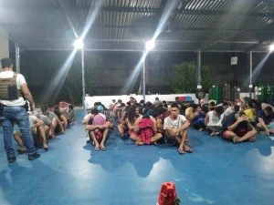 Leia mais sobre o artigo 100 são presos em festa clandestina regada a drogas e DJ italiano na BR-174