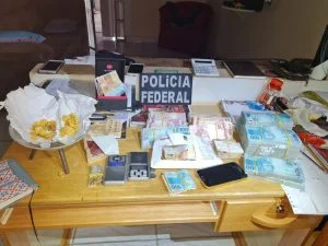 Leia mais sobre o artigo Polícia Federal faz operação contra crimes ambientais no interior do AM