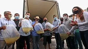 Leia mais sobre o artigo No AM, mais de 160 toneladas de peixes serão doados a famílias em vulnerabilidade social