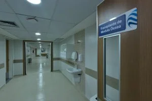 Leia mais sobre o artigo Hapvida inaugura nova unidade de Transplante de Medula Óssea em Fortaleza