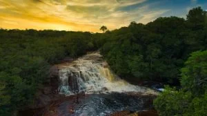 Leia mais sobre o artigo Amazonastur e FGV elaboram Plano Emergencial para recuperação do turismo no Estado