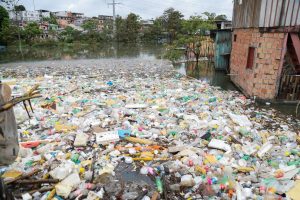 Read more about the article Prefeito David Almeida acompanha ação de limpeza de igarapé e salienta necessidade de preservar as riquezas naturais da cidade