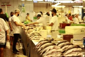 Leia mais sobre o artigo David Almeida fiscaliza construção de ‘feira flutuante’ para receber permissionários da Manaus Moderna