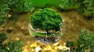 Leia mais sobre o artigo Geóloga analisa impactos do Projeto de Lei que flexibiliza regras de licenciamento ambiental