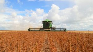 Read more about the article Em Rondônia, produção agrícola alcança quase 400 mil hectares; crescimento brasileiro pode chegar a 5,7%