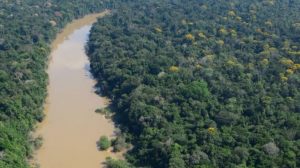 Read more about the article Terras Indígenas são quase 80% das áreas mais atingidas pelo desmatamento na Amazônia