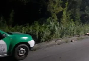 Leia mais sobre o artigo Veja no vídeo: corpo amarrado é encontrado na sarjeta no distrito industrial