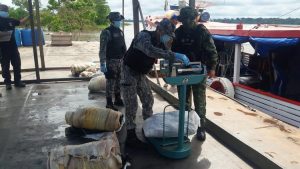 Read more about the article Mais de 300 quilos de pirarucu ilegal são apreendidos no Amazonas