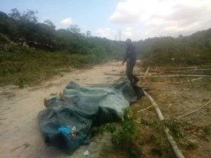 Leia mais sobre o artigo Desabrigados são impedidos de invadir área de mata em Manaus