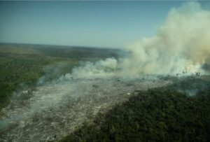 Read more about the article Em sobrevoo pela Amazônia, Greenpeace flagra o avanço do fogo sobre a floresta